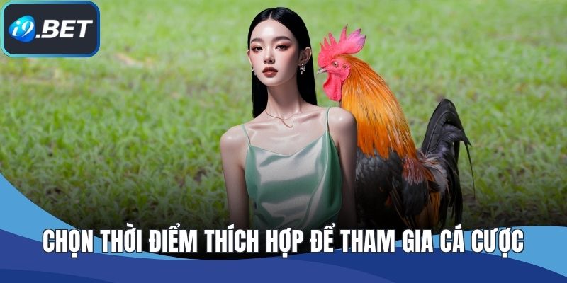 Chọn thời điểm thích hợp để tham gia cá cược