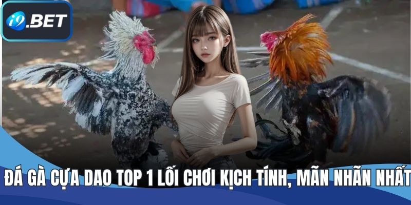 Đá Gà Cựa Dao TOP 1 Lối Chơi Kịch Tính, Mãn Nhãn Nhất