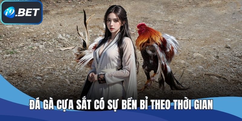 Đá gà cựa sắt có sự bền bỉ theo thời gian
