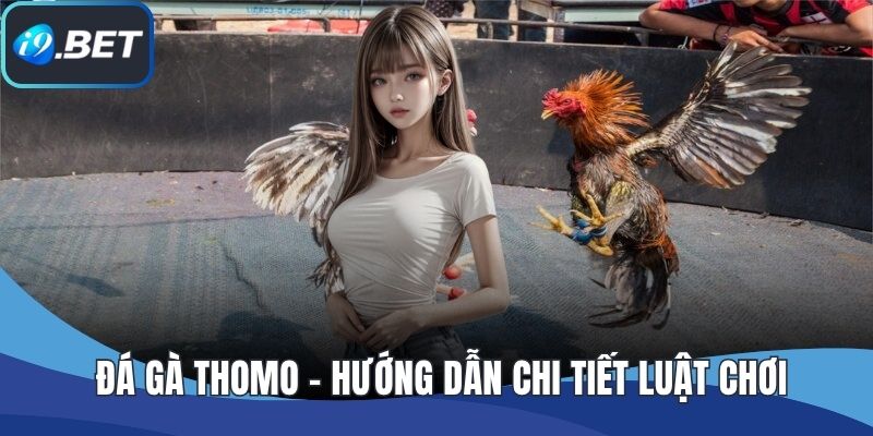 Đá Gà Thomo - Hướng Dẫn Chi Tiết Luật Chơi Và Kinh Nghiệm