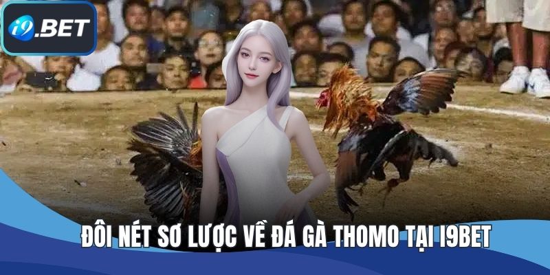 Đôi nét sơ lược về đá gà thomo tại I9BET
