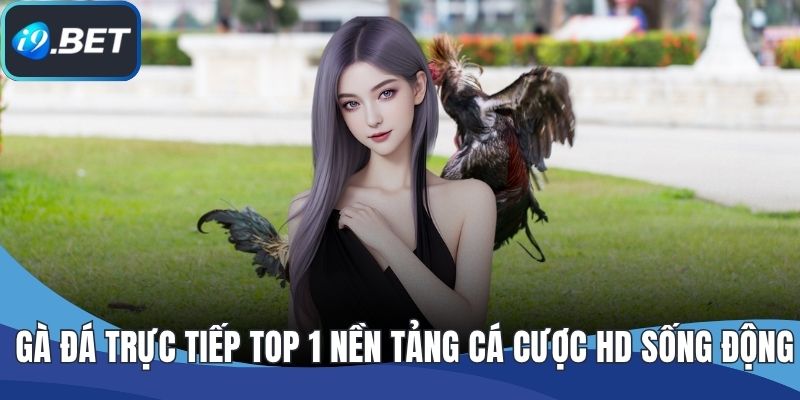 Gà Đá Trực Tiếp TOP 1 Nền Tảng Cá Cược HD Sống Động