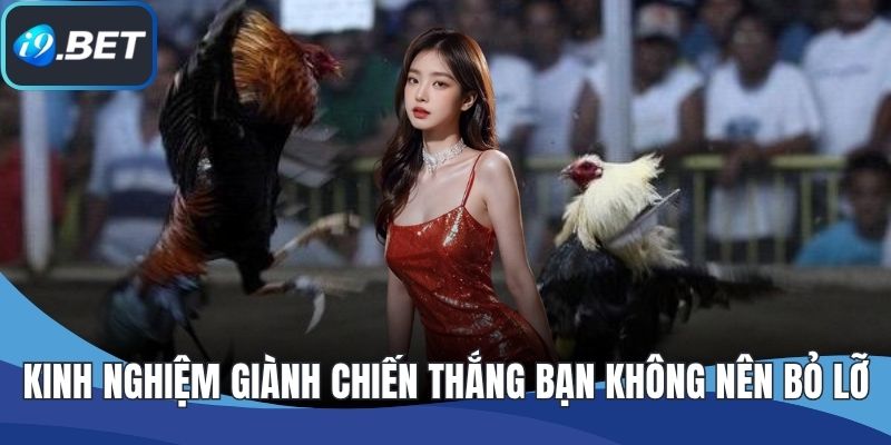 Kinh nghiệm giành chiến thắng bạn không nên bỏ lỡ