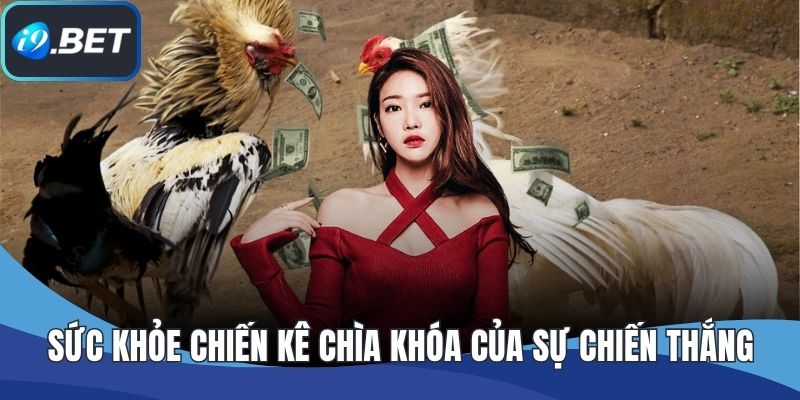 Sức khỏe chiến kê chìa khóa của sự chiến thắng