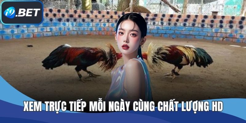 Xem trực tiếp mỗi ngày cùng chất lượng HD